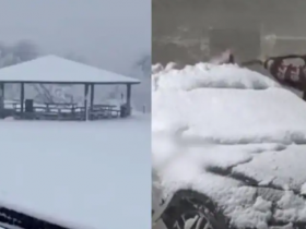 美国科州遭暴风雪 21万户居民断电 积雪深度超半米